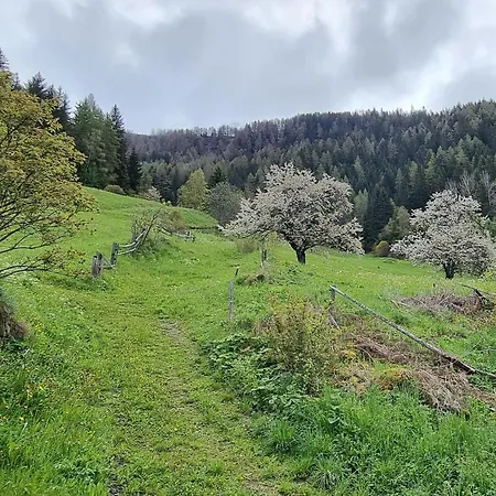 Wolf 度假居