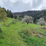 Wolf بيت للعطل